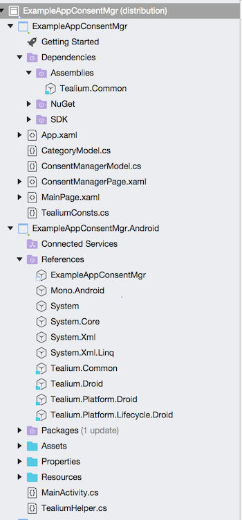 Consent Manager Model